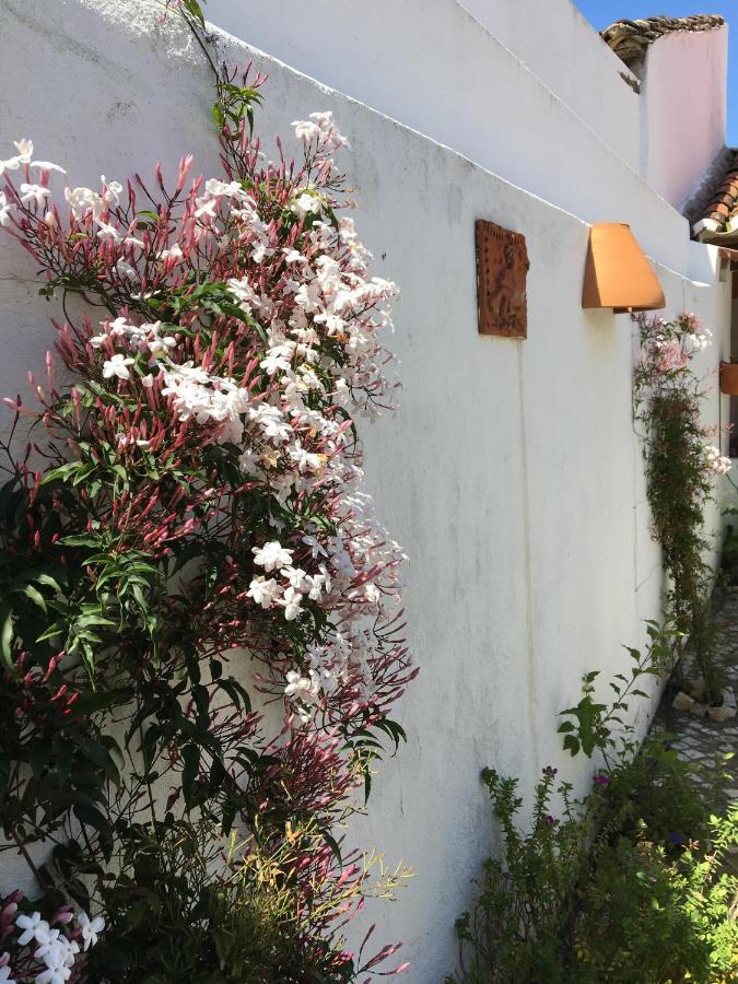 Vila Casa Da Galega Golegã Exteriér fotografie